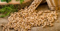South Carolina State University will study the viability of chickpeas — the key ingredient in hummus — as a fall cover crop/spring cash crop. (Photo/DepositPhotos)