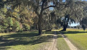 Lowcountry Land Trust permanently protected H&H Farm on Wadmalaw Island through a donated conservation easement preserving farmland and wildlife habitat. (Photo/Lowcountry Land Trust)