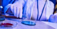 SCRA was chartered by the state to fuel the South Carolina innovation economy. (Photo/DepositPhotos)|Kirkland
