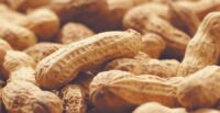 The company started shelling peanuts in January 2016, and has since expanded to also produce peanut oil, peanut meal, peanut hulls and peanut seed. (Photo/DepositPhotos)