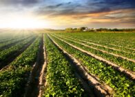 The Richland County Ag + Art Tour is returning for a 14th year, offering residents and visitors a unique opportunity to explore the intersection of agriculture and art in South Carolina’s capital county. (Photo/DepositPhotos)