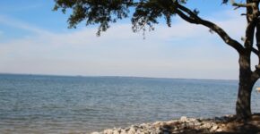 Berkeley County opened six public boat ramps and expanded trailer parking at Atkins Landing ahead of the waterfront park’s full opening this summer. (Photo/Berkeley County)